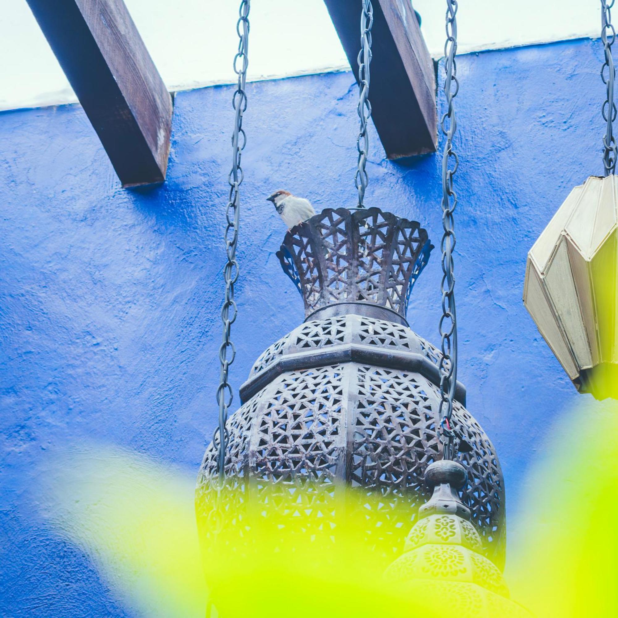 Hotel Boutique Casa Altamira ケレタロ エクステリア 写真